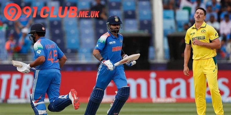 Comprehensive visual summary of premium cricket highlights for sports fans